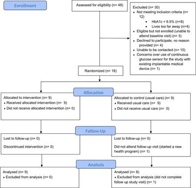 Shared Medical Appointments and Mindfulness for Type 2 Diabetes—A Mixed-Methods Feasibility Study